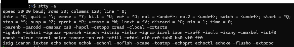 stty -aでixonの状態確認