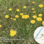 ショートカットで位置情報を追加した画像